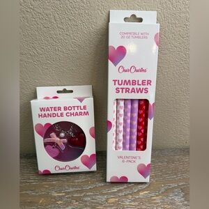 CharCharms nwt 6pk 20oz Valentines Water Bottle Straws & water bottle charms